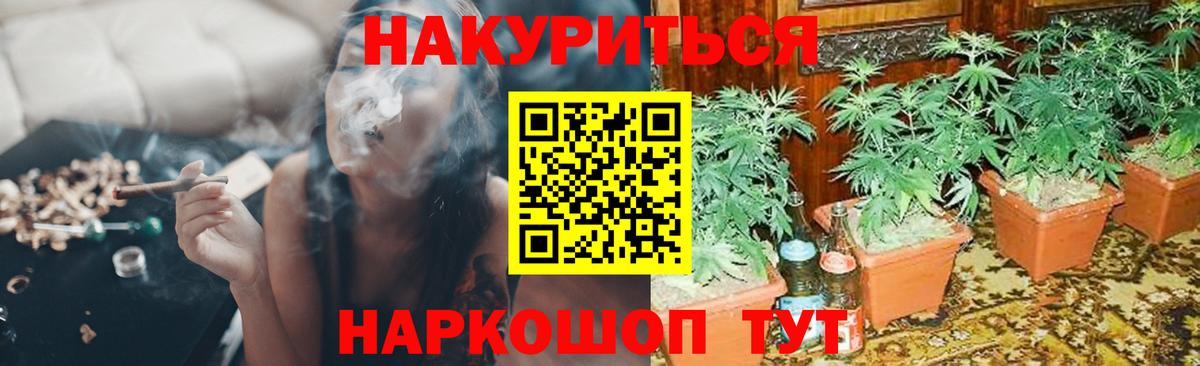 Марихуана сатива Анапа